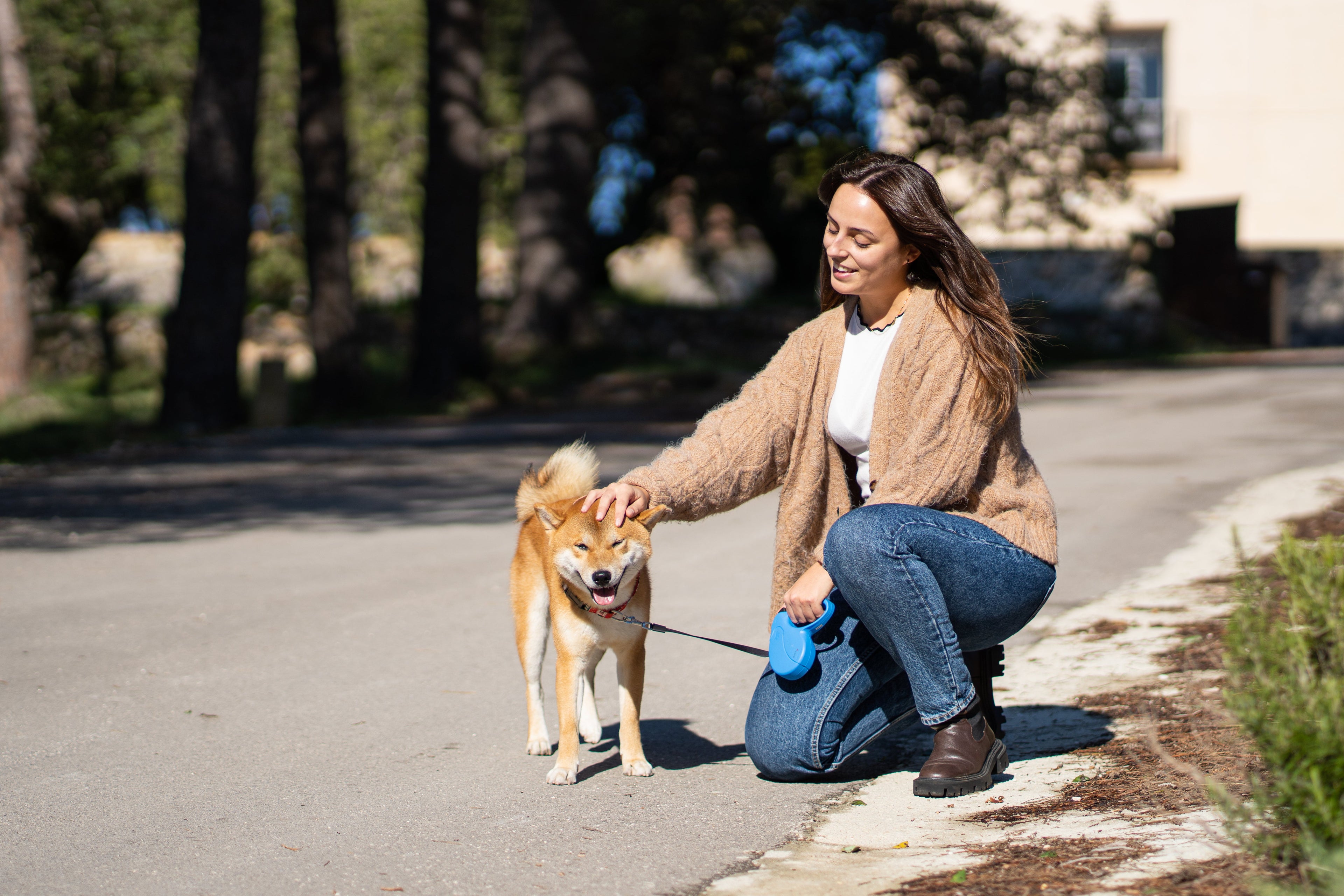 Accessoires pour Promenade de Chien