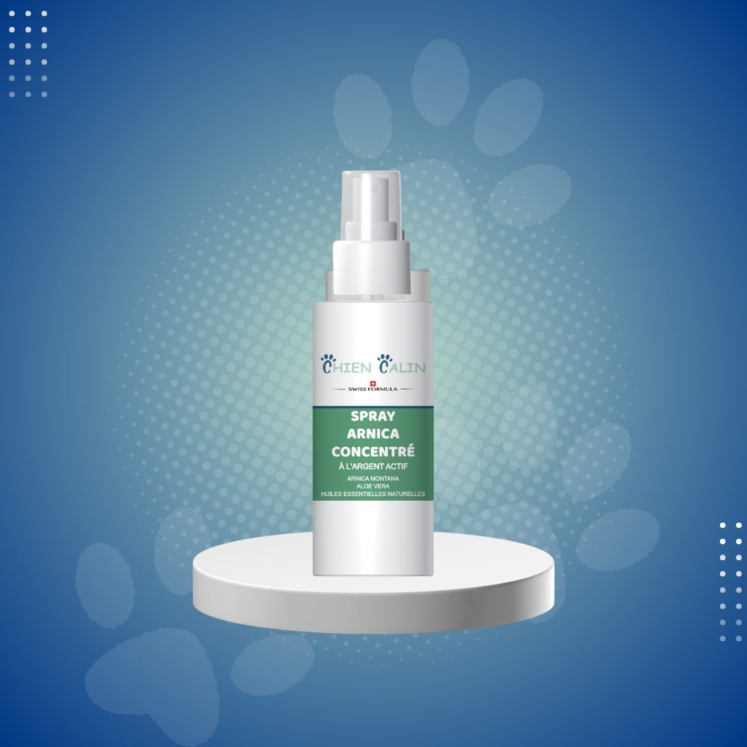 Spray arnica concentré | Chien Calin
