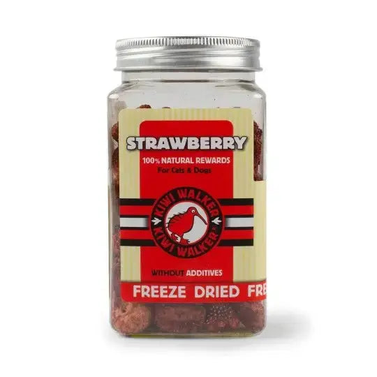 Friandises lyophilisées à la fraise pour chien, récompense naturelle sans additifs pour le plaisir et le bien-être du chien.
