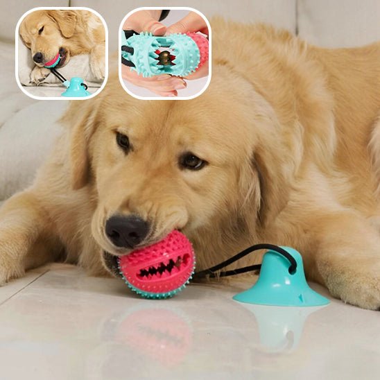 BALLE POUR CHIEN - CHIEN CALIN