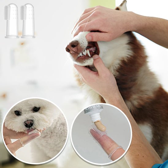 BROSSE A DENT POUR CHIEN - CHIEN CALIN