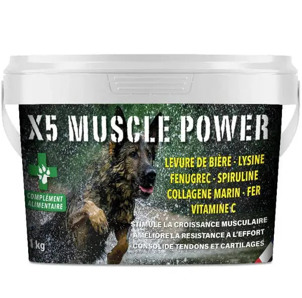 Aliments complémentaires pour chien Pot 500G