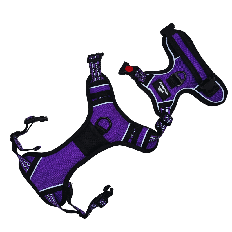 Harnais pour chien anti traction