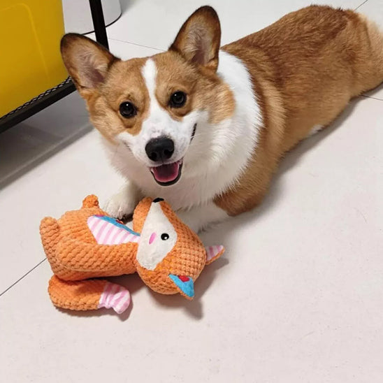 Jouets pour Chiens grinçants en Peluche