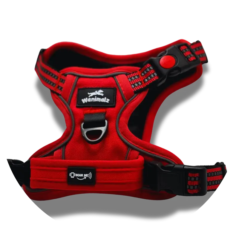Harnais pour chien anti traction avec puce NFC - Chien câlin | Soins et accessoires pour chien