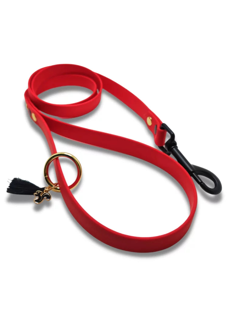 Laisse pour chien en Biothane®