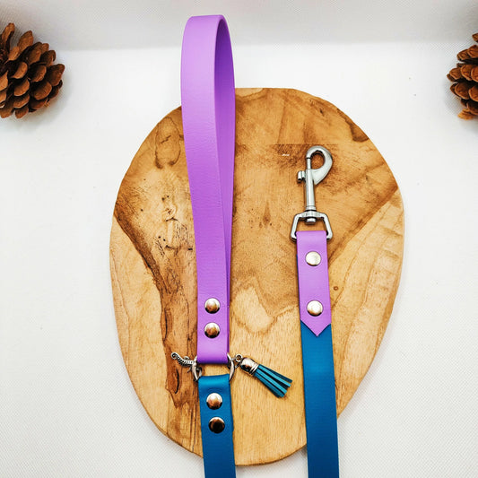 Laisse pour chien en Biothane® Bicolore