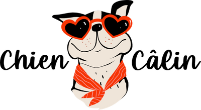 Chien câlin | Soins et accessoires pour chien