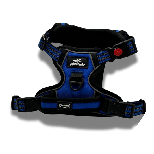 Harnais pour chien anti traction avec puce NFC