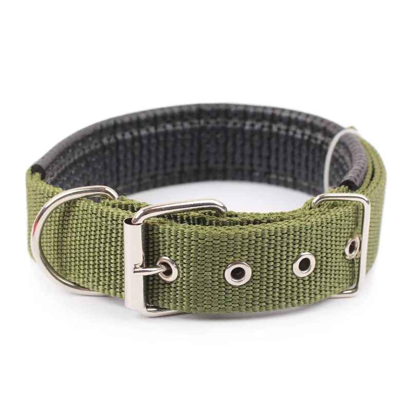 Collier pour chien - CHIEN CALIN