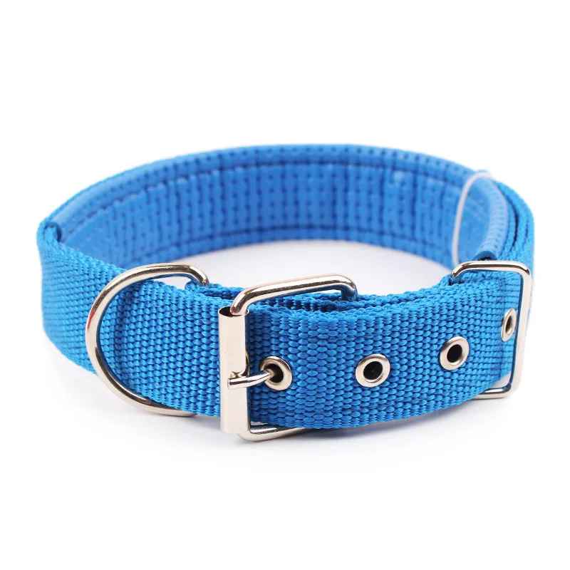 Collier pour chien - CHIEN CALIN