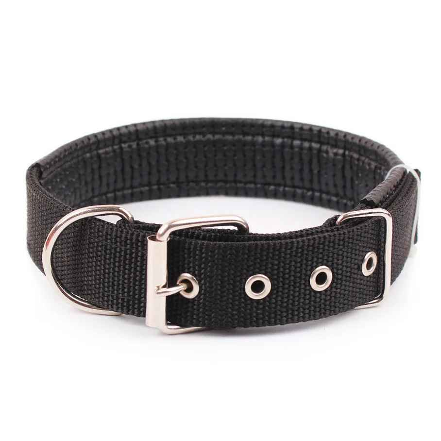 Collier pour chien - CHIEN CALIN