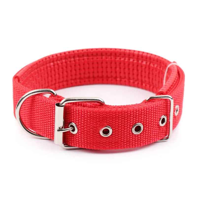 Collier pour chien - CHIEN CALIN