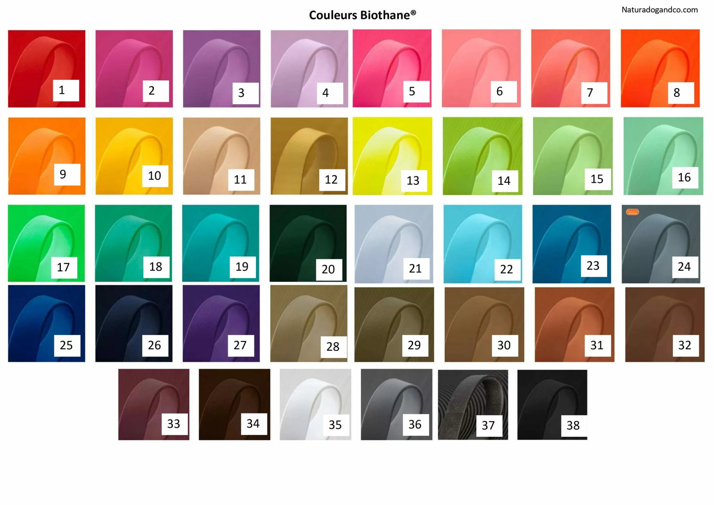 Laisse pour chien en Biothane®