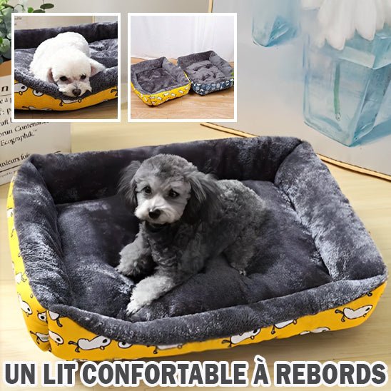 COUSSIN POUR CHIEN - CHIEN CALIN