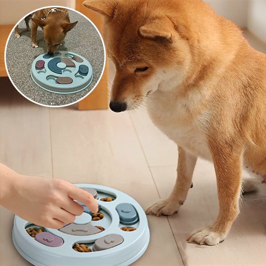 Distributeur de nourriture coule pour chiens - CHIEN CALIN
