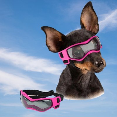 DogGoggles™ - Rose - CHIEN CALIN