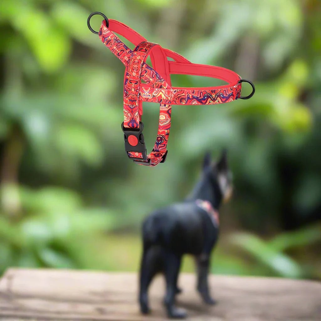 DogSafeHarness™ - Rouge - CHIEN CALIN