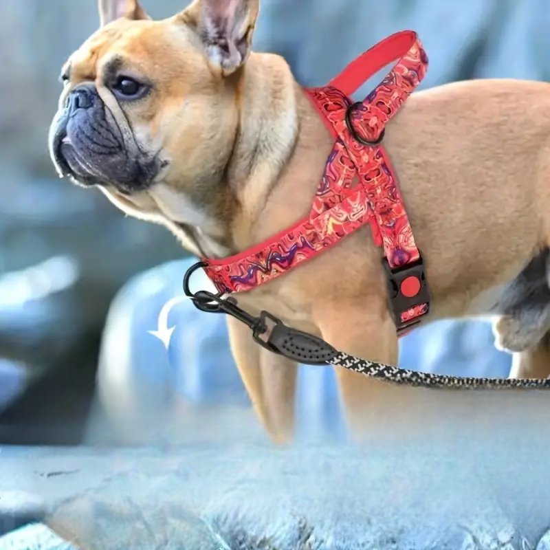 DogSafeHarness™ - Rouge - CHIEN CALIN