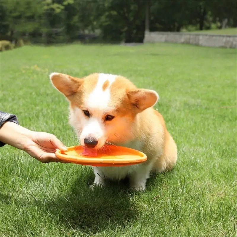 FlyDog™ - Orange - CHIEN CALIN