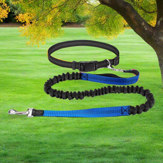 HandFreeDogLeash™ - Bleu - CHIEN CALIN