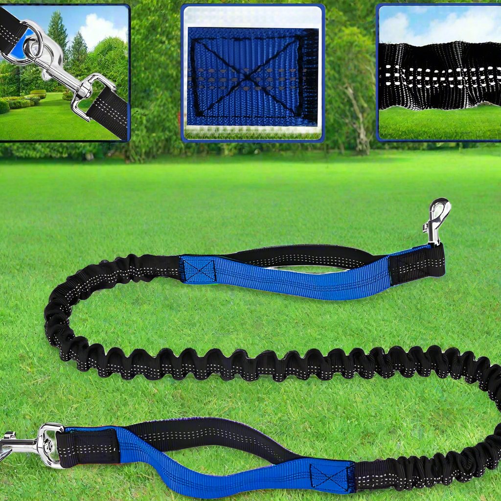 HandFreeDogLeash™ - Bleu - CHIEN CALIN