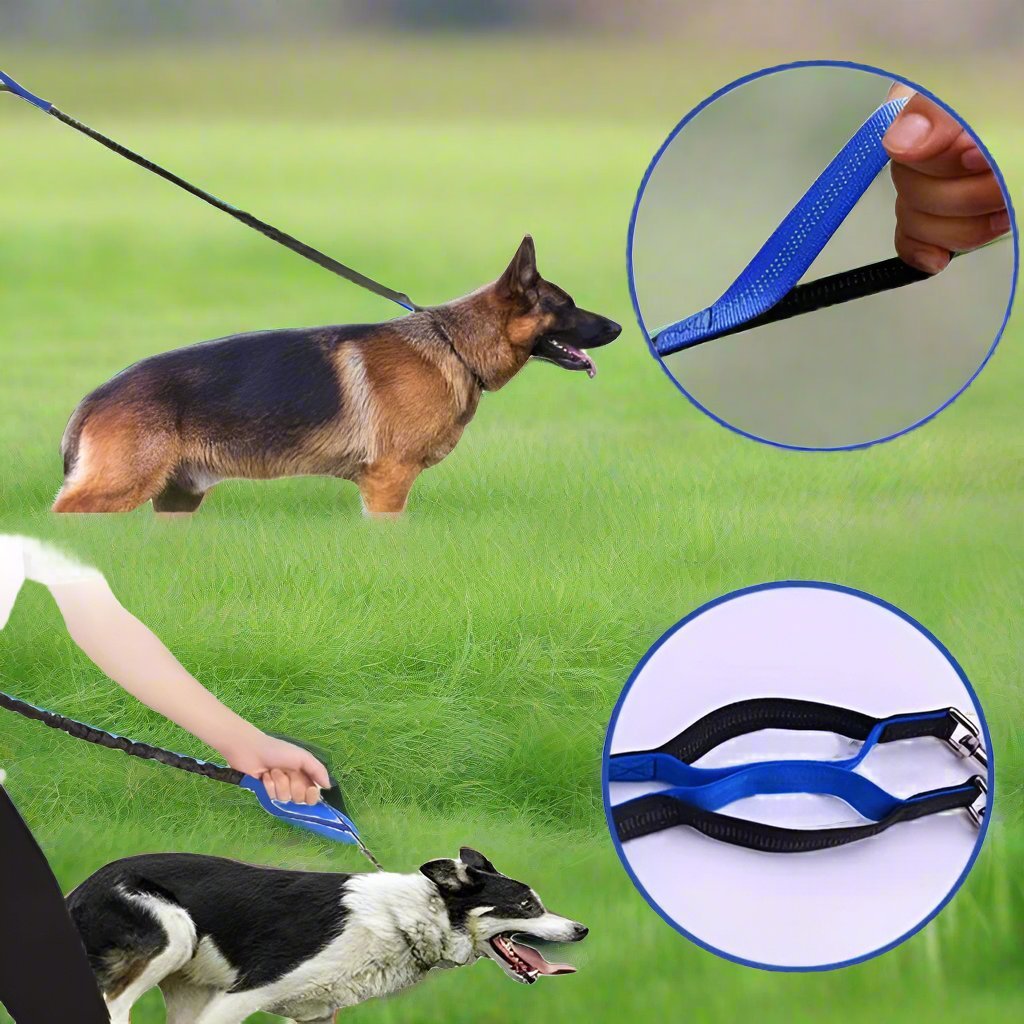 HandFreeDogLeash™ - Bleu - CHIEN CALIN