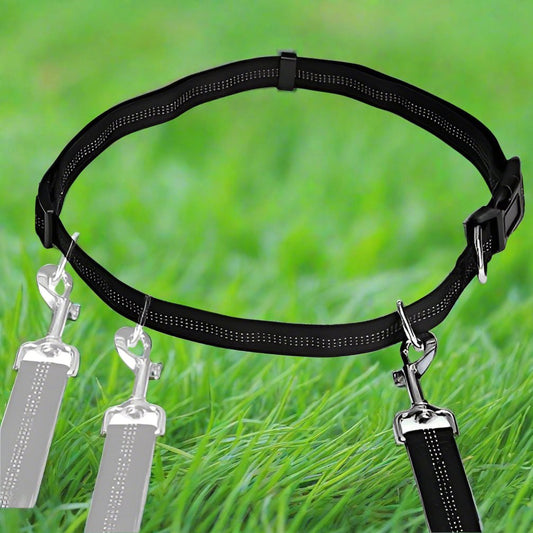 HandFreeDogLeash™ - Noir - CHIEN CALIN