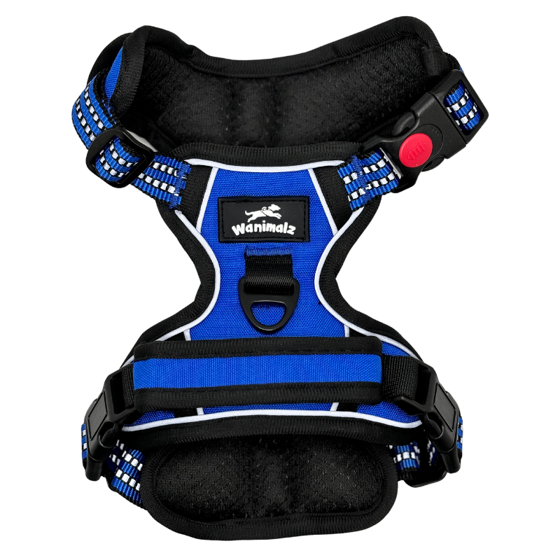 Harnais pour chien anti traction