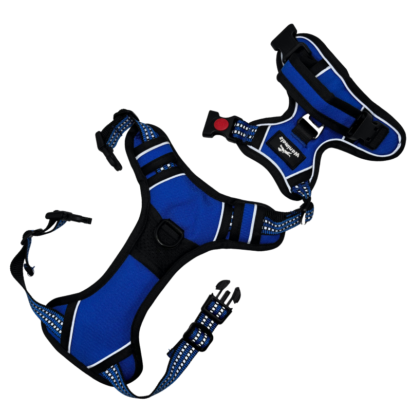 Harnais pour chien anti traction