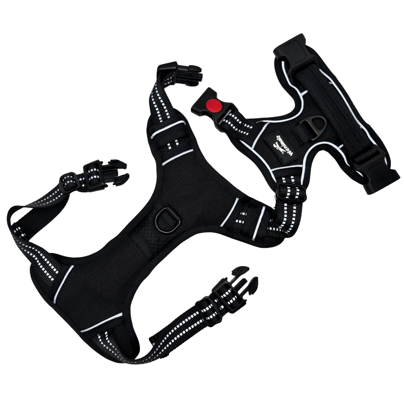Harnais pour chien anti traction