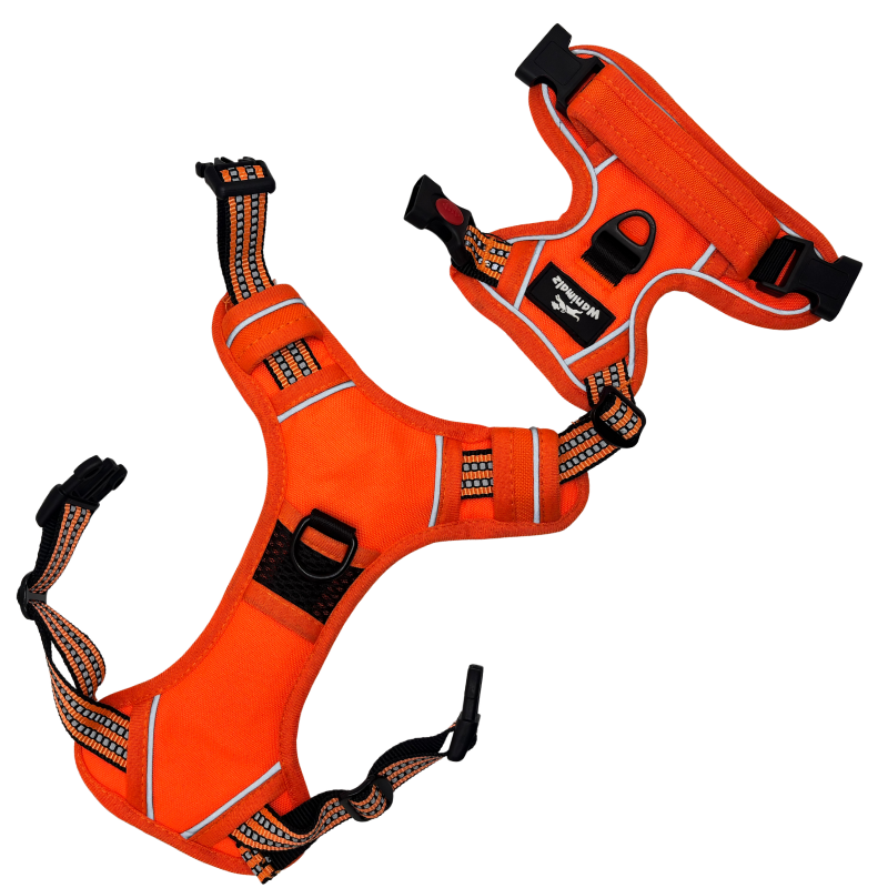 Harnais pour chien anti traction