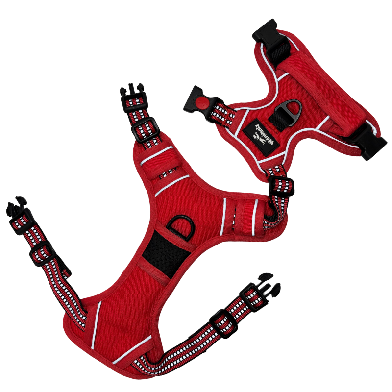 Harnais pour chien anti traction