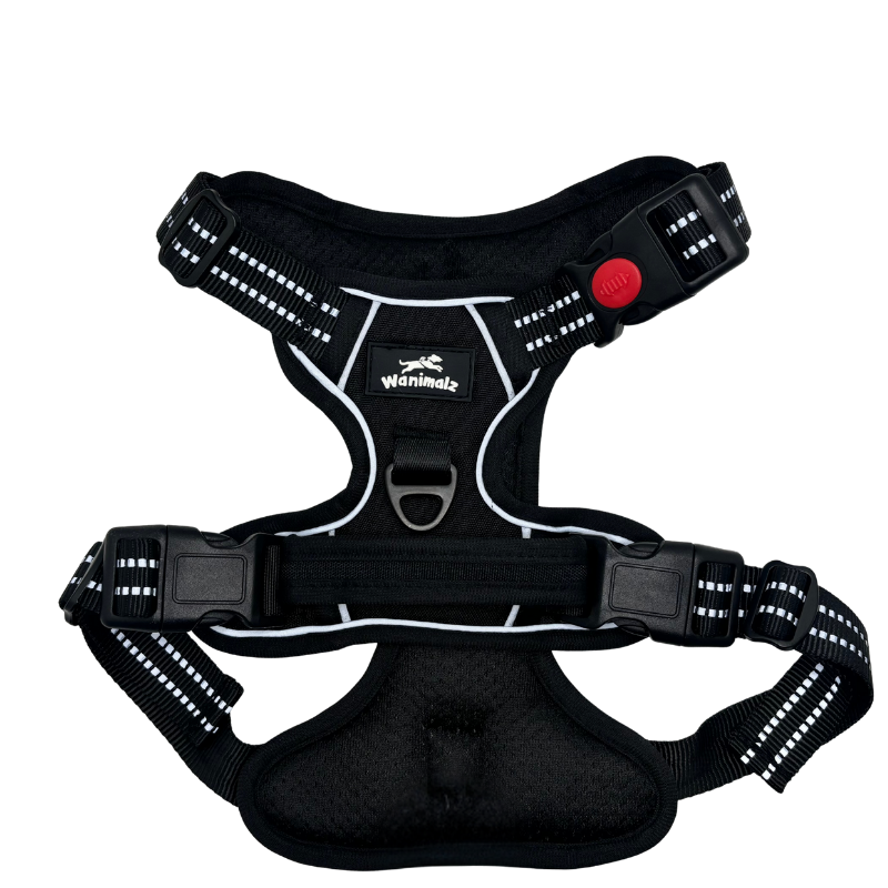 Harnais pour chien anti traction