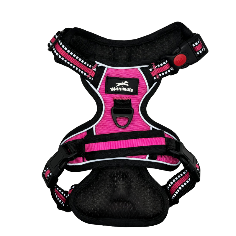 Harnais pour chien anti traction