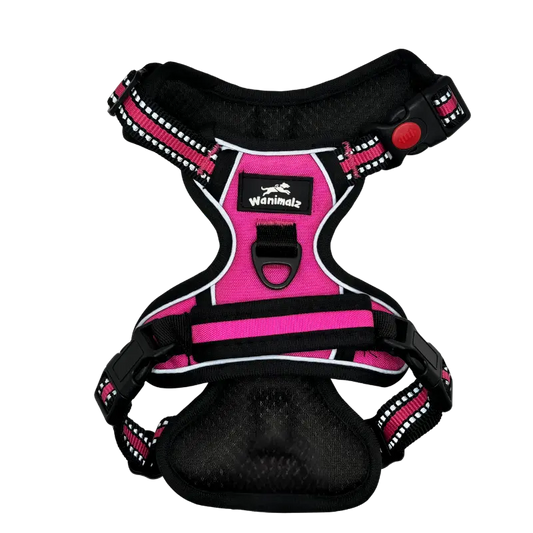 Harnais pour chien anti traction - Chien câlin | Soins et accessoires pour chien