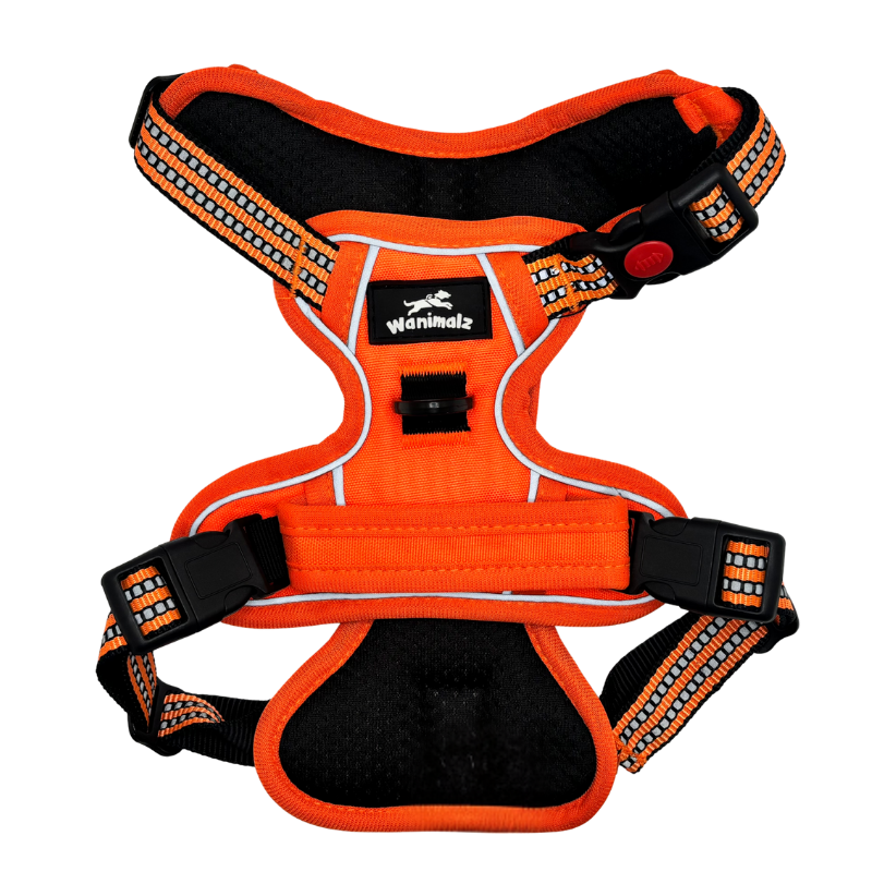 Harnais pour chien anti traction