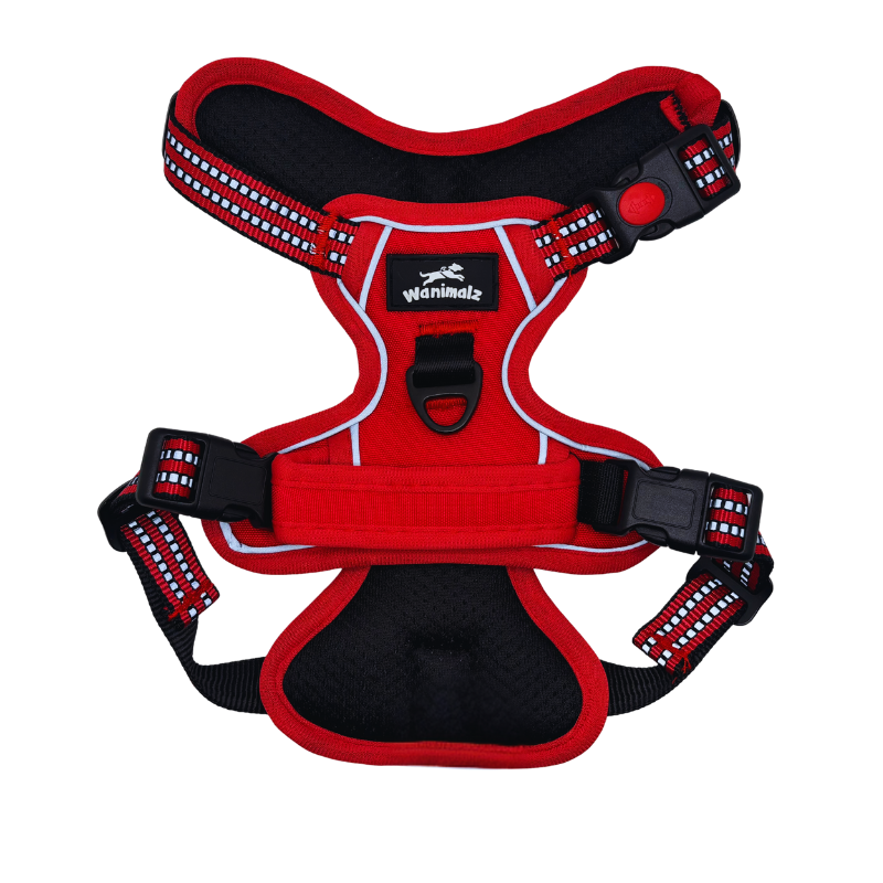 Harnais pour chien anti traction