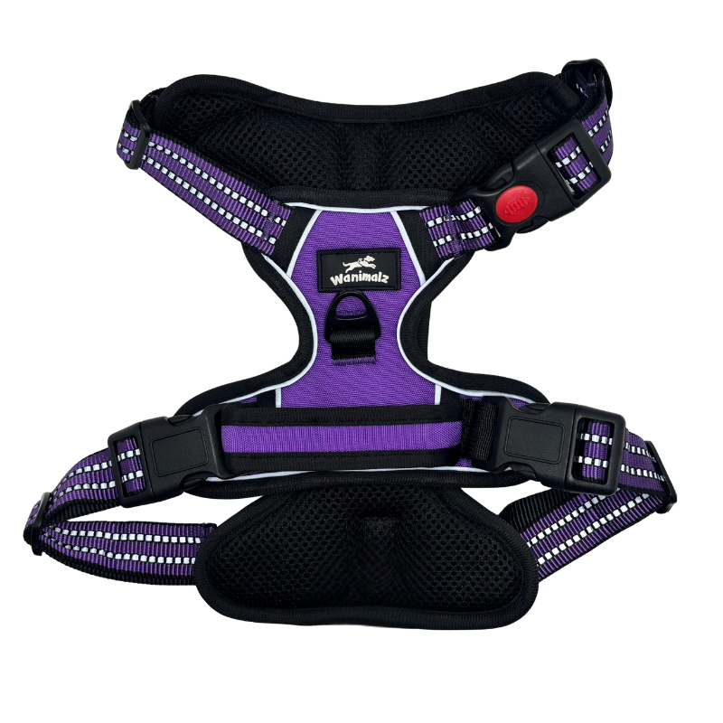 Harnais pour chien anti traction