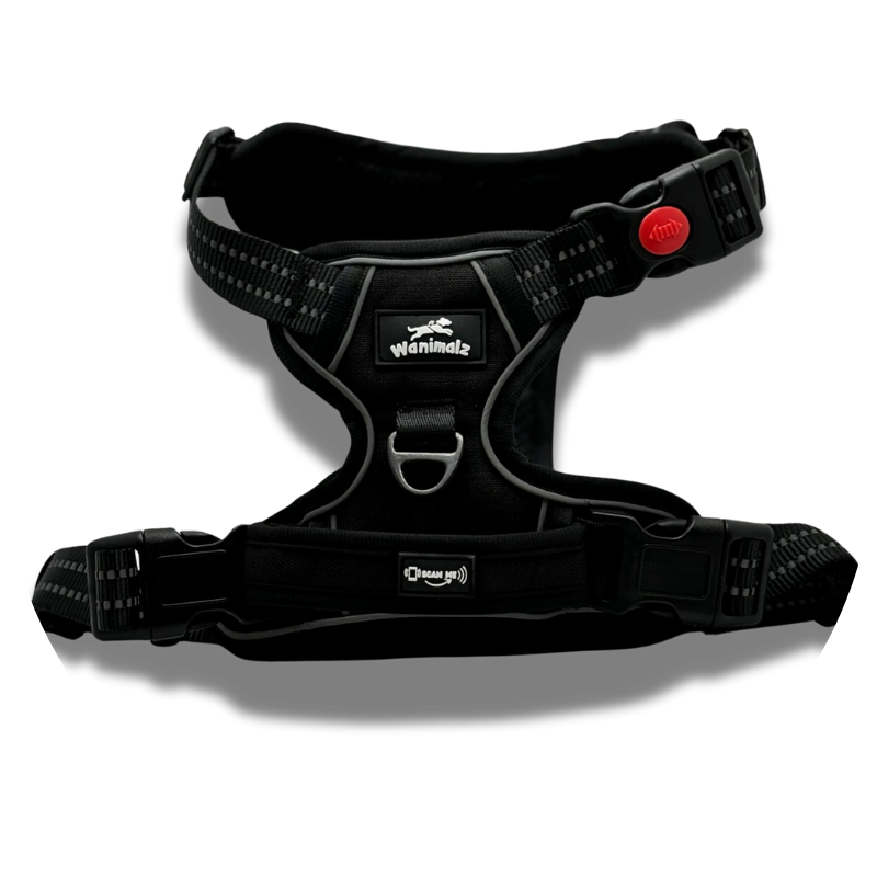 Harnais pour chien anti traction avec puce NFC