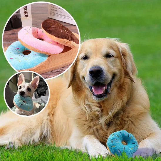 Jouet couineur en forme de donut pour chien