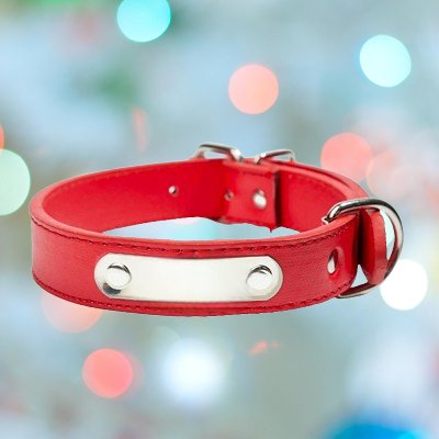 LeatherDogCollar™ - Rouge - CHIEN CALIN